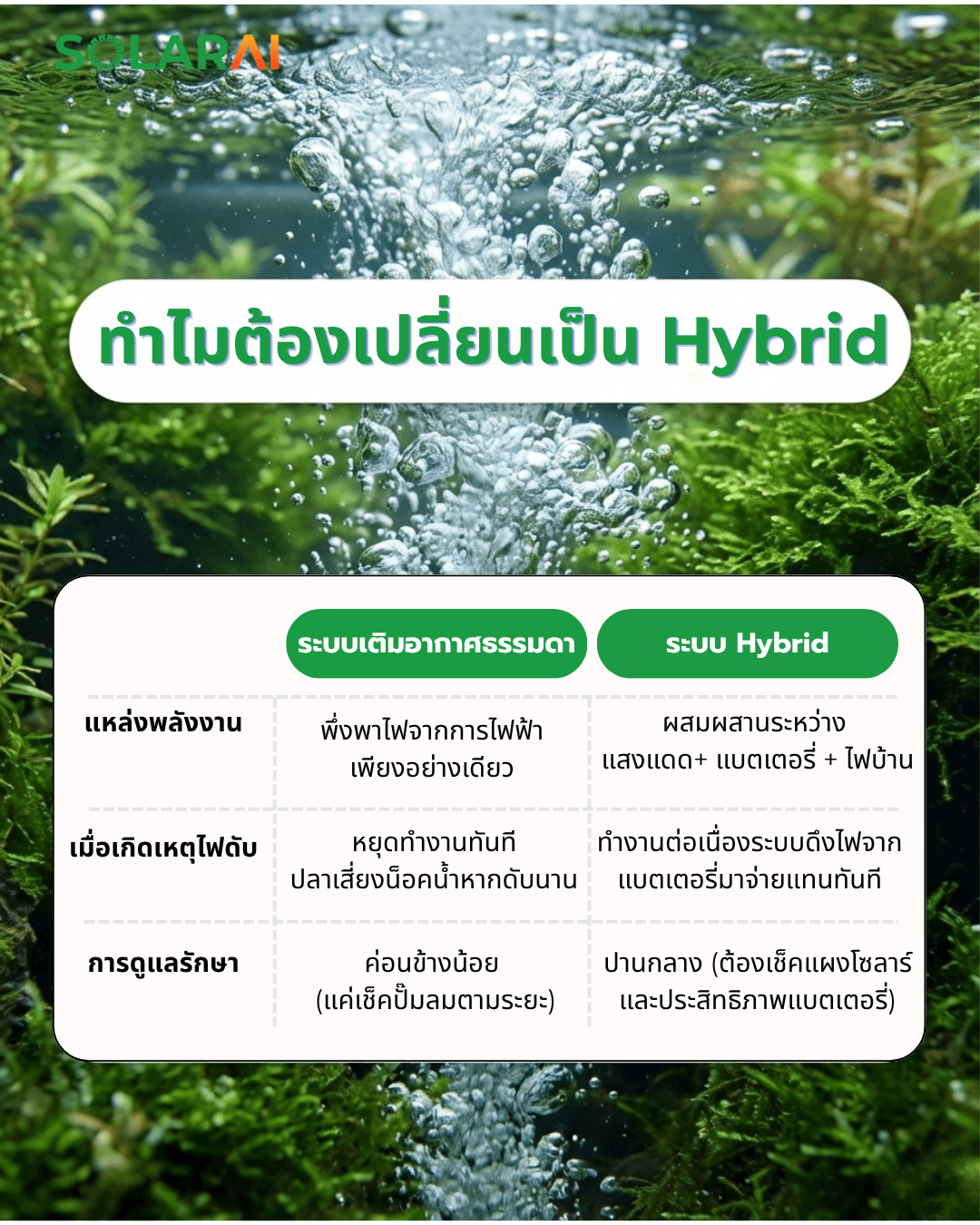 บ่อปลาคราฟ