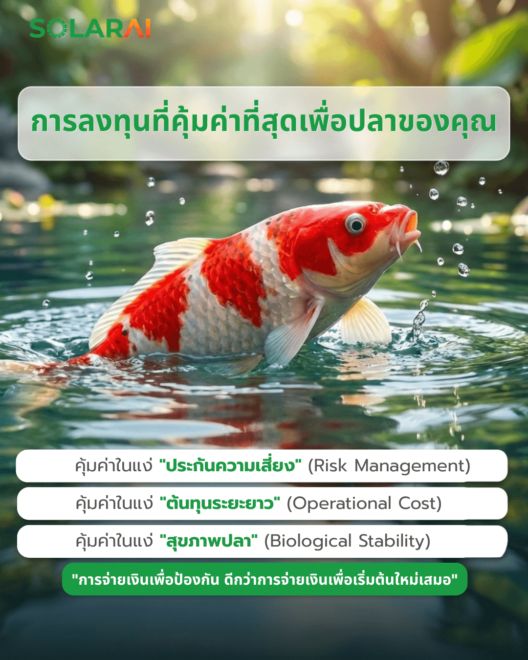 บ่อปลาคราฟ
