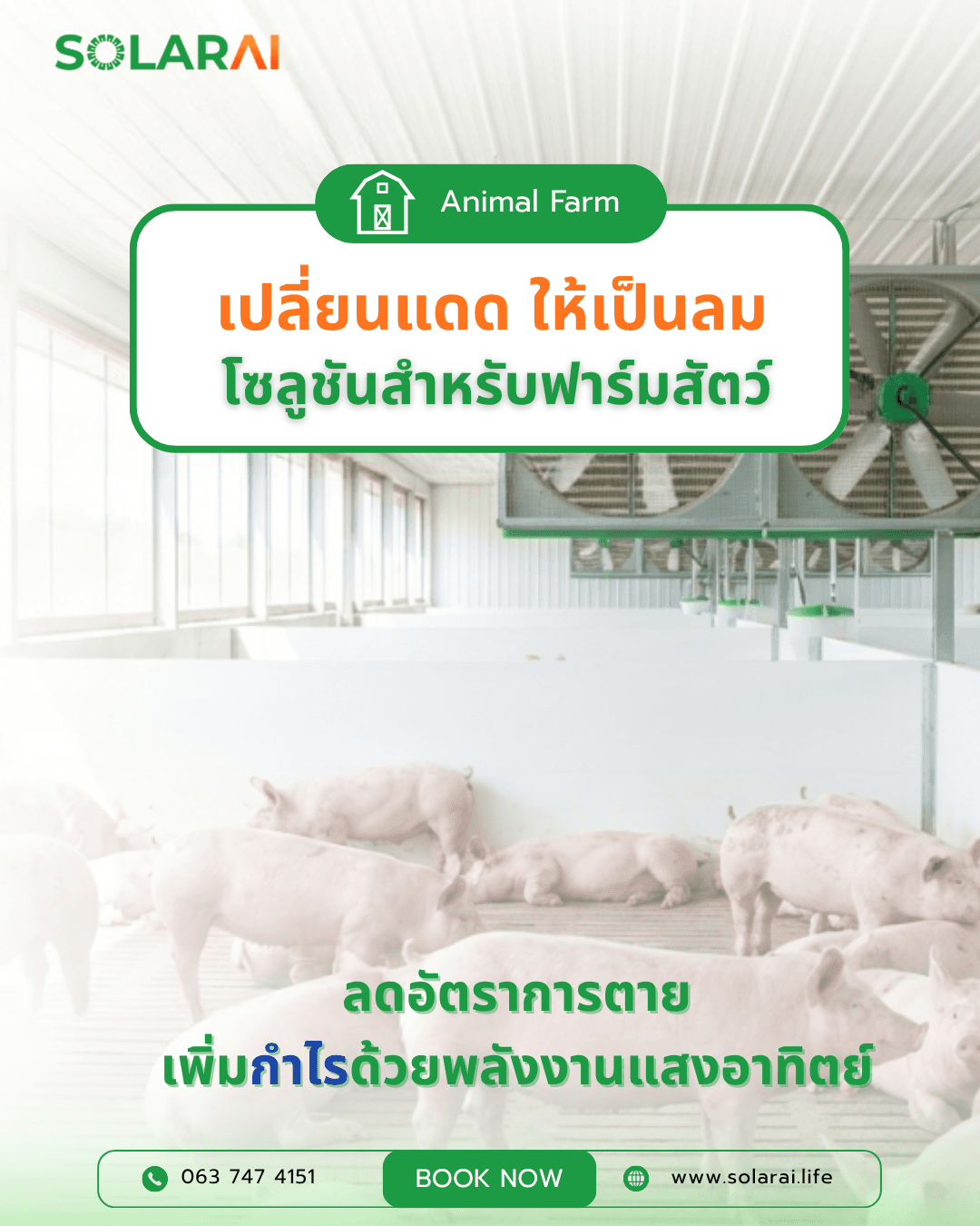 ฟาร์ม