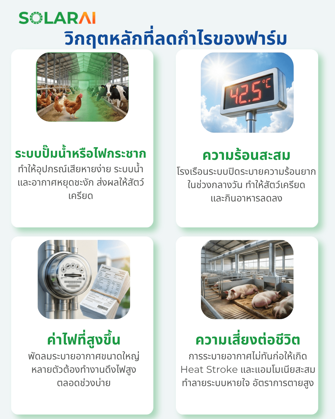 ฟาร์ม